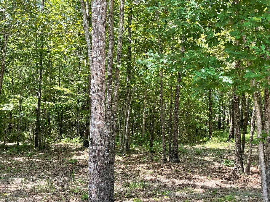 Bent Tree Cabin, On Private 12.5 Acres + Hot Tub Broken Bow Extérieur photo