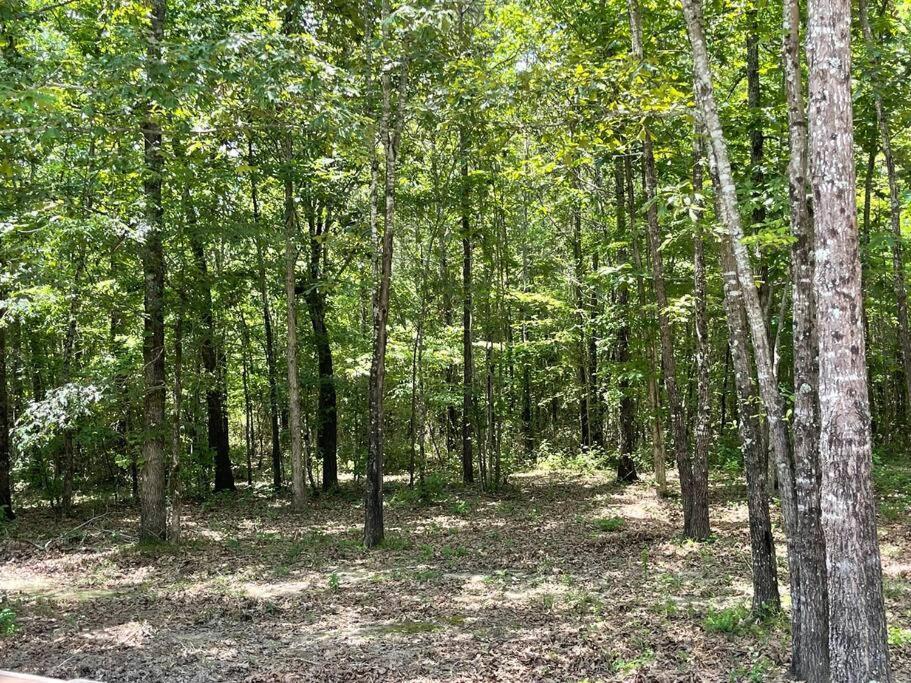 Bent Tree Cabin, On Private 12.5 Acres + Hot Tub Broken Bow Extérieur photo